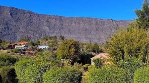 Groupe de personnes pratiquant une séance sportive en extérieur, souriants et en mouvement, avec de grands arbres ou un ciel dégagé en arrière-plan.